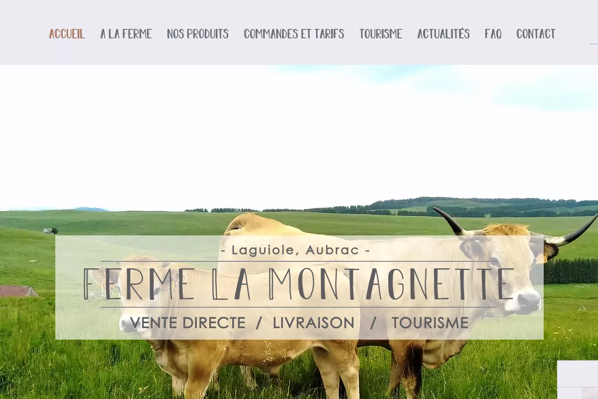 Aperçu du site de Aire de camping-cars "La Montagnette"